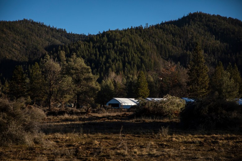 Buildings for cannabis growing sit unused on Scott Murisson's land in Hayfork on Feb. 7, 2023. Photo by Martin do Nascimento, CalMatters