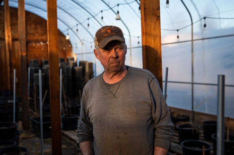 Scott Murrison inside a hoop house full of unused cannabis growing equipment in Hayfork on Feb. 7, 2023. Photo by Martin do Nascimento, CalMatters