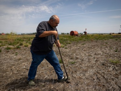 Mathew Garcia digs through the soil of his fallowed rice field near Glenn in April. Photo by Miguel Gutierrez Jr., CalMatters