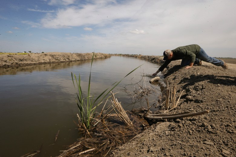 A person leans over and reaches into an irrigation canal. Dirt lines the bank of the canal, as the stream flows away from the frame. The person is a farmer and is conducting a test of the water.