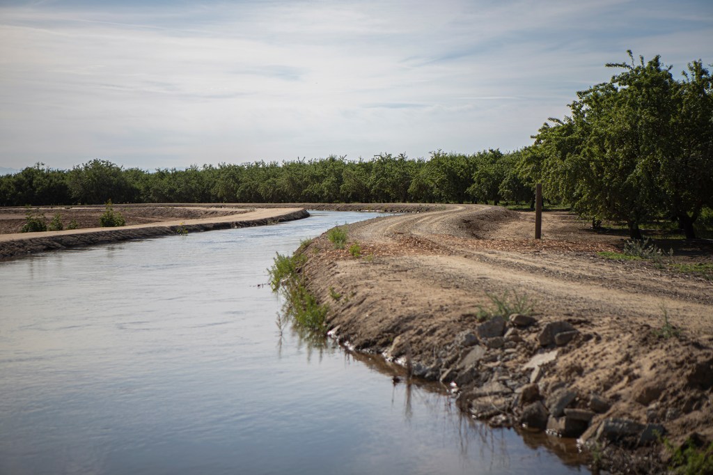 A canal flowing through orchards west of Fresno on June 3, 2022. Photo by Larry Valenzuela, CalMatters/CatchLight Local