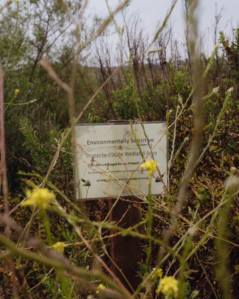 Signage warning pedestrians to keep off the terrain to preserve the habitat throughout the Ballona Wetlands in the Playa Vista neighborhood of Los Angeles on June 4, 2024. Photo by Zaydee Sanchez for CalMatters