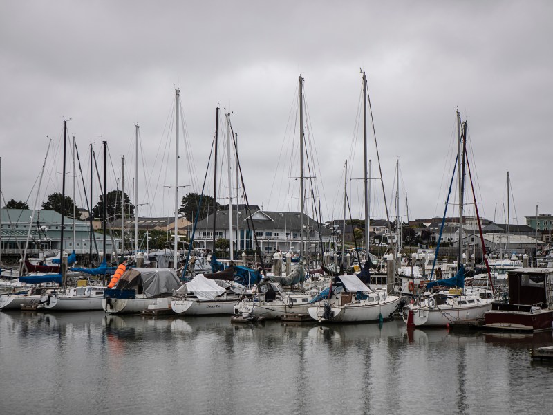 Fishing boats docked at the marina along the Humboldt Bay shoreline in Eureka on June 6, 2023. Photo by Larry Valenzuela, CalMatters/CatchLight Local