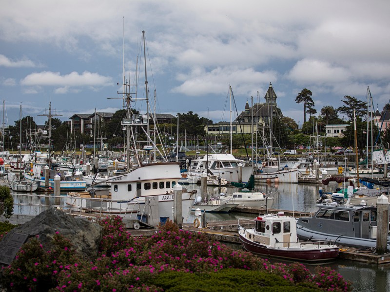 Fishing boats are docked at a harbor in Humboldt Bay in Eureka. Ocean waters 20 miles off this coast have been leased to energy companies to develop massive wind farms. Photo by Larry Valenzuela, CalMatters/CatchLight Local