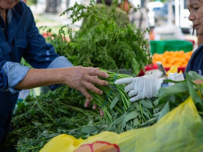 A customer picks produce at the farmers' market in Fairfield on June 15, 2023. Photo by Semantha Norris, CalMatters