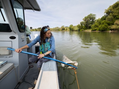 A person in a blue shirt and blue water vest sits at the edge of a boat, while holding a blue bar into the water with a net at the end, in the Sacramento river.