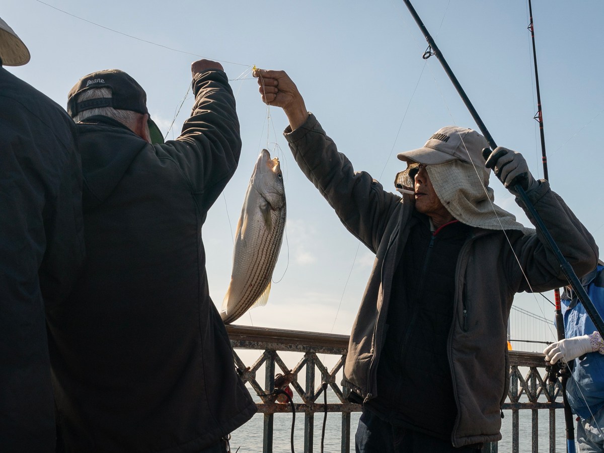 ‘Dirty Delta’: California’s largest estuary is in crisis. Is the state discriminating against people who fish there?