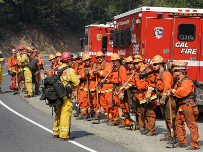 Prisoners from the McCain inmate crew from San Diego, prepare to clear brush from a road on in Calistoga on Oct. 11, 2017. Photo by Ben Margot, AP Photo