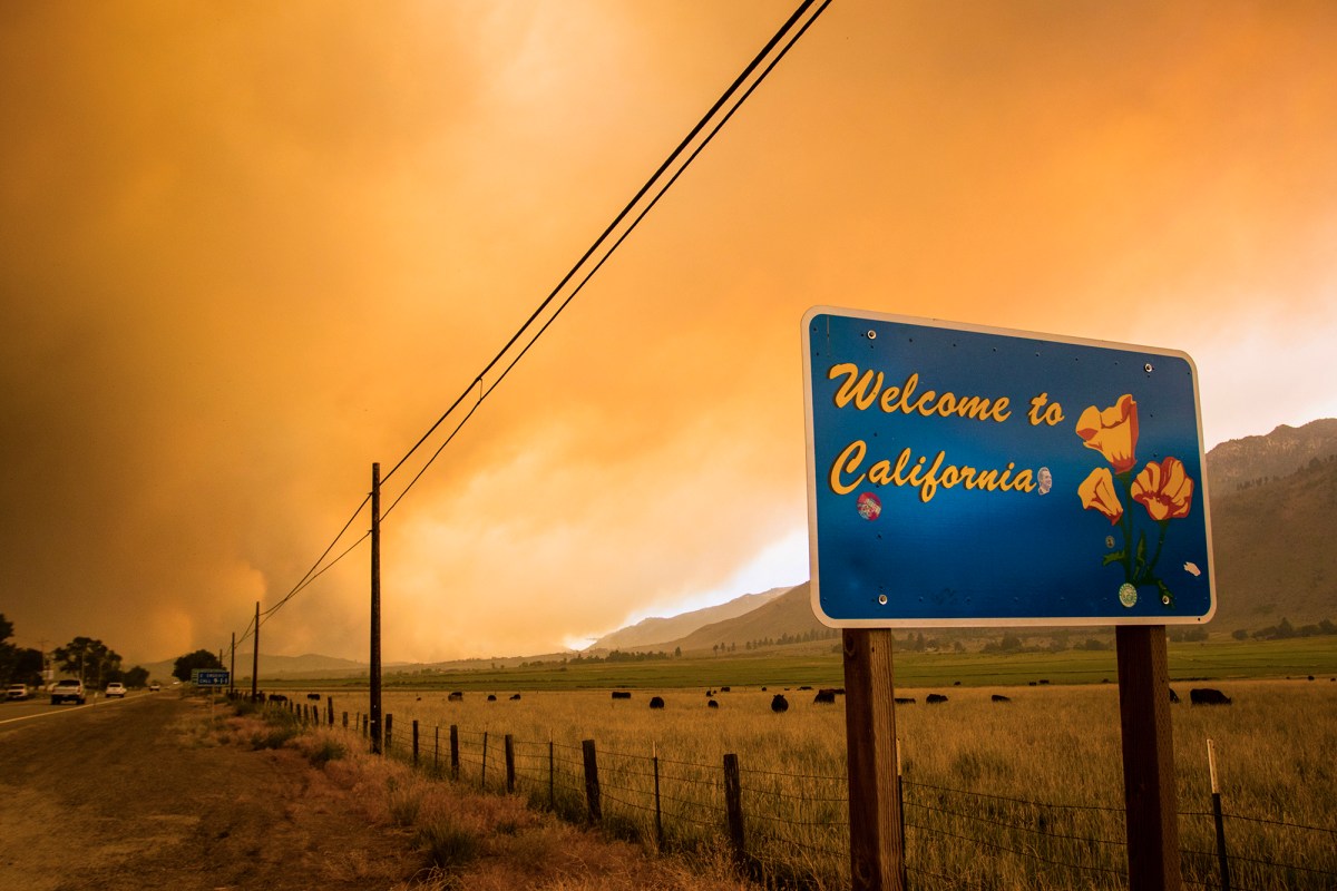 A blue road sign, with yellow lettering reads, "Welcome to California." Three orange poppies are also visible on the sign. A wildfire burns behind some hills in the background. Orange wildfire smoke fills the air.