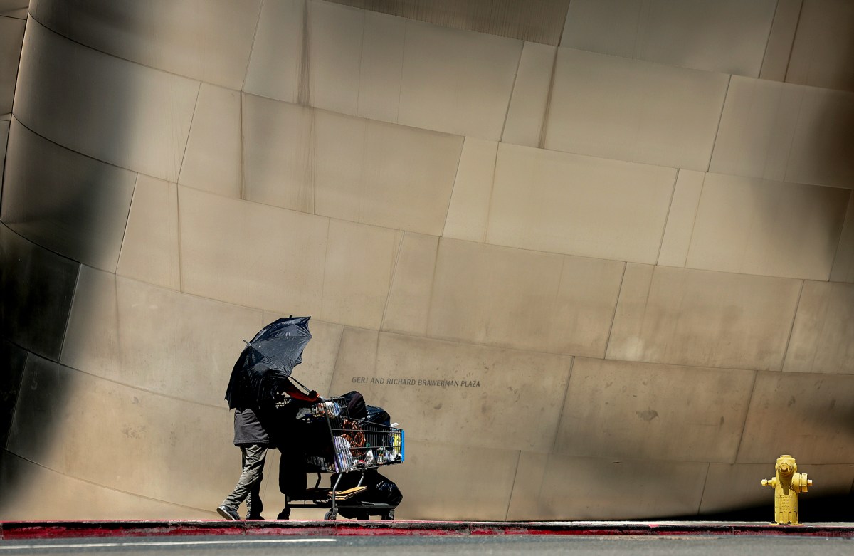 A person pushes a shopping cart while holding an umbrella, casting a shadow against a sleek metallic wall that forms a curved, architectural backdrop. The scene includes a yellow fire hydrant on the right, adding a pop of color to the otherwise muted setting.