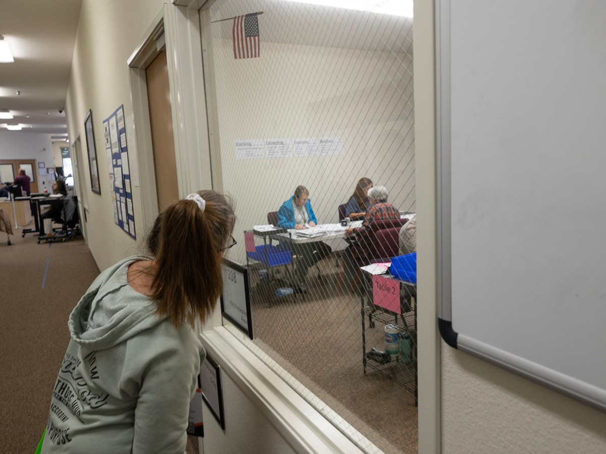 Election workers quit in Shasta as self-appointed observers roam office