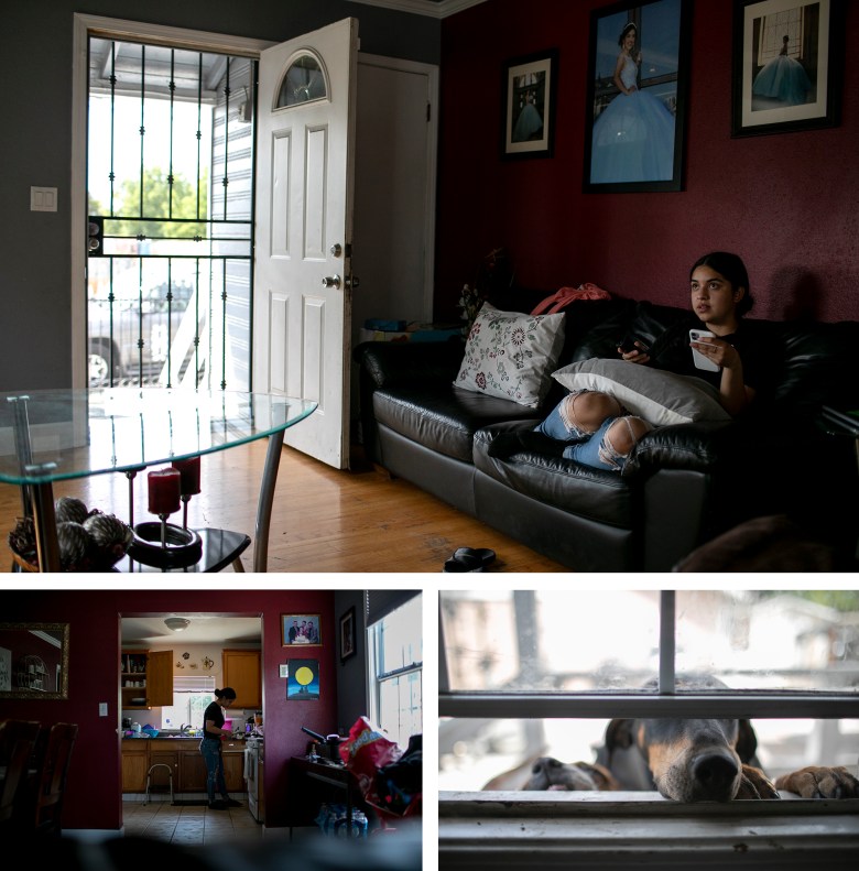 Claudeth spends afternoons watching true crime documentaries and watching TikToks. The family dogs sniff at the bedroom window. Claudeth cooks and washes dishes while her mother works. Photo by Anne Wernikoff, CalMatters